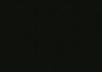 宣告谈小草包鸽训练赛：想不到这种情况 比赛不都为了赢来的吗？